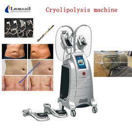 เครื่องลดไขมัน Cryolipolysis Body Fat Machine